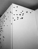 butterfliesformation